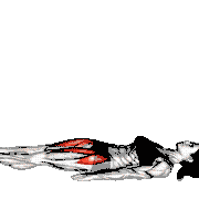 Lying Hip Straight Leg Raise