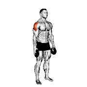 Weighted Full Can Exercise demonstration
