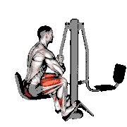 Lever Outdoor Seated Leg Press