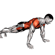 Plank Thigh Tap
