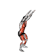 Silent Burpee