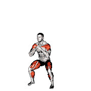 Jumping Squat Jack