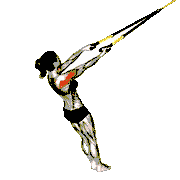 Suspender Split Fly demonstration