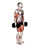 Dumbbell Lunge with Bicep Curl