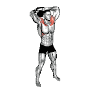 Kettlebell Around Head Rotation