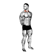 Rotating Neck Stretch