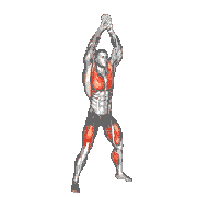 Squat Bounce
