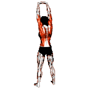 Side Bend Arm Stretch