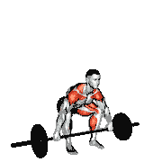 Barbell Snatch Pull
