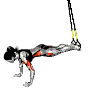 Suspender Star Push-Up demonstration