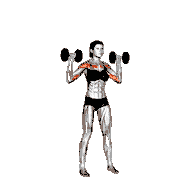 Overhead Press Standing