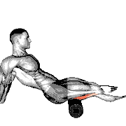 Roll Seated Shoulder Flexor Depressor Retractor