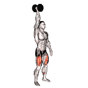 Single Arm Overhead Dumbbell Squat