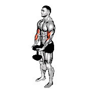 Dumbbell Standing Single Spider Curl
