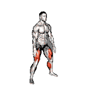 Plyo Sit Squat (Wall)