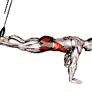 Ring Reverse Ab Rollout