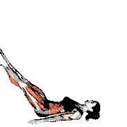 Jackknife