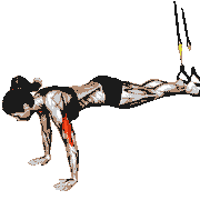 Suspender Push-Up demonstration