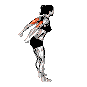 Bodyweight Pulsing Triceps Kickback