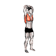 Standing Reach-Up Back Rotation Stretch