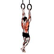 Ring Chin-Up