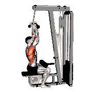 Cable Reverse Grip Pulldown