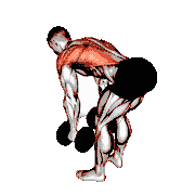 Bent-Over Row