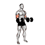 Dumbbell 21s