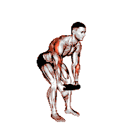 Weighted Plate Bent-Over Row demonstration