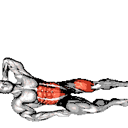 Leg Raise Oblique Crunch