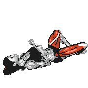 Bodyweight Frog Pump