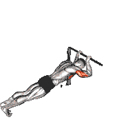 Triceps Press