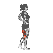 Standing Leg Curl