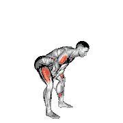 Bodyweight Swing