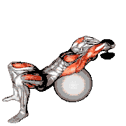 Dumbbell Pullover Hip Extension on Exercise Ball