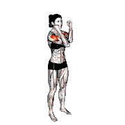 Standing Elbow Touch