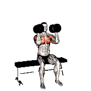 Dumbbell Seated Reverse Arnold Press