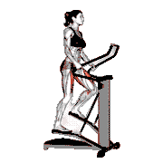 Lever Stepper