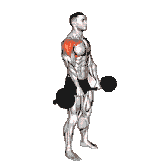 EZ Bar Standing Front Raise demonstration