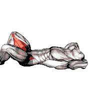 Inner Thighs Pulse