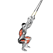 Suspender Squat Jump