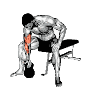 Kettlebell Concentration Curl