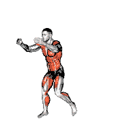 Double Knee Side Thrust