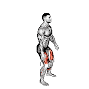 Wall Sit demonstration