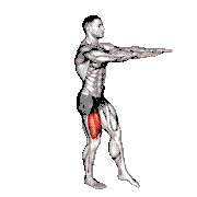 Pistol Squat to Box