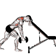 Dumbbell Unilateral Scapula Raise