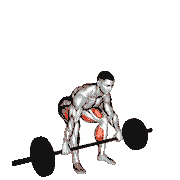 Barbell Snatch Deadlift