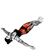 Lying Side Reverse Crunch