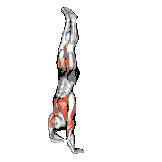 Kipping Handstand Push-Up