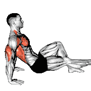 Single Leg Dip on Floor demonstration